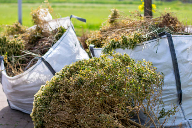 Best Hoarding Cleanup  in Meadowlakes, TX